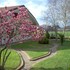 Il Sogno Verde B&B