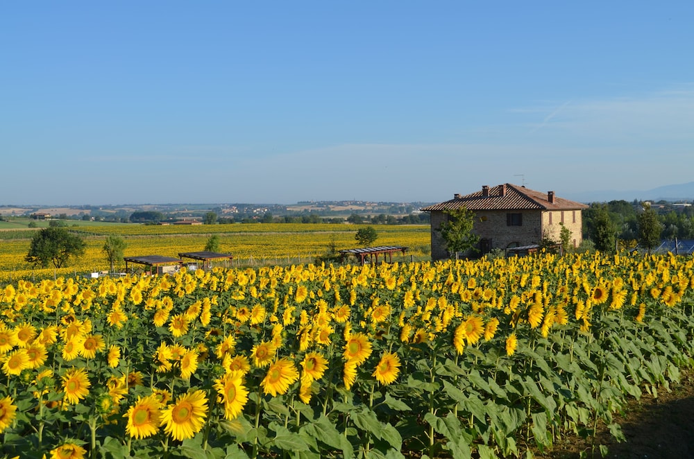 Tuscan Style Eco-Farm Molinaccio
