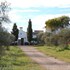Hacienda Dos Olivos