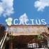 Cactus Beach Paros