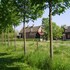 Authentic Mansion in Deil near Lake
