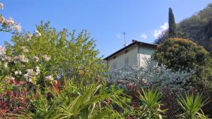 La Casa Di Bice