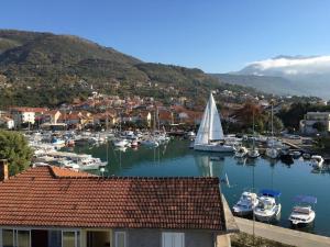 Tivat Star photo 1