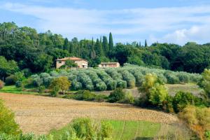 Podere Poggiarello