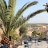 Trigona Garden Suite