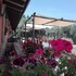 BioAgriturismo Santa Felicita
