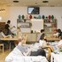 Cats Chill Out Hostel Madrid